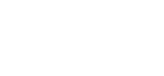 Chic Home Solutions